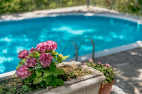 Гостиница Poolside Apartments Miljan i Ranko  Герцег Нови